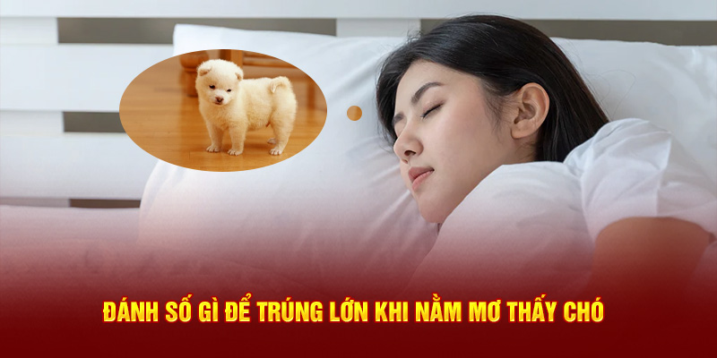 Đánh số gì để trúng lớn khi  nằm mơ thấy chó