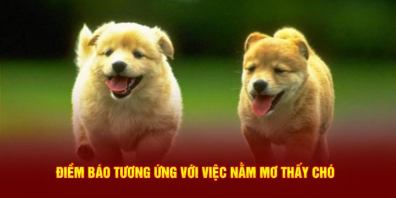 Điềm báo tương ứng với việc nằm mơ thấy chó